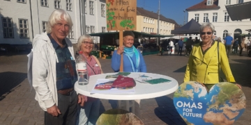 ‚Omas for Future‘ in Ratzeburg