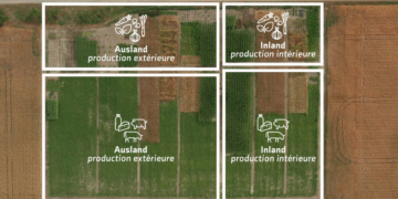 Doku-Dienstag: ‚Anders Essen – Das Experiment‘ im Filmclub