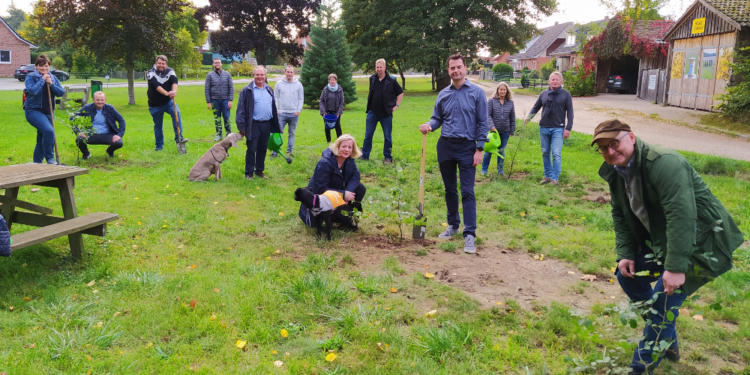 CDU-Kreistagsabgeordnete pflanzen Bäume zum Tag der Deutschen Einheit