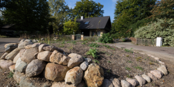 Tolle Nachrichten aus der Brummelbrede in Mölln