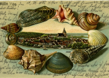 ‚Die schönsten Grußpostkarten aus alter Zeit‘ – Sonderausstellung im Kreismuseum