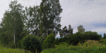 Gesucht: die schönsten Lauf- und Walkingstrecken in und um Büchen