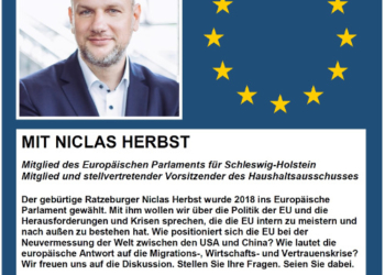 ‚OnlineTalk‘ der CDU Herzogtum Lauenburg