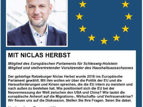 ‚OnlineTalk‘ der CDU Herzogtum Lauenburg