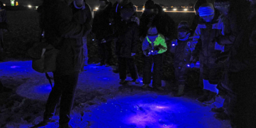 Kiesgrube statt Kanaren: Auf Entdeckertour im GeoPark