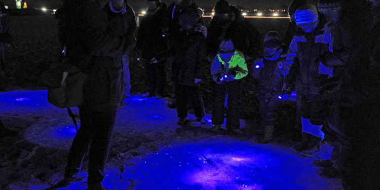 Kiesgrube statt Kanaren: Auf Entdeckertour im GeoPark