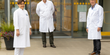 Ratzeburg mit starkem Gefäßzentrum