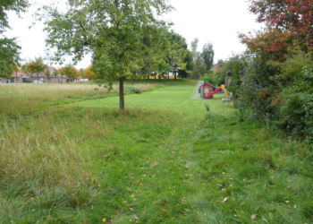 Ratzeburg: Illegale Landgewinnung und Eingriff in die Grünflächen der Stadt