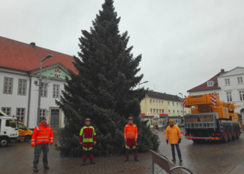 Ein Weihnachtsbaum schmückt den Ratzeburger Marktplatz