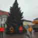 Ein Weihnachtsbaum schmückt den Ratzeburger Marktplatz