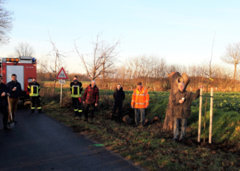 Baumpflanzaktion in Steinhorst