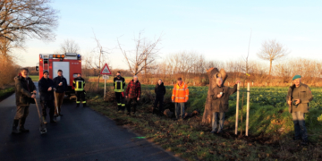 Baumpflanzaktion in Steinhorst