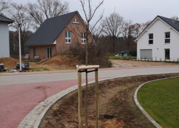 ‚Büchen macht grün‘: Start der diesjährigen Baumpflanzung mit besonderen Highlights