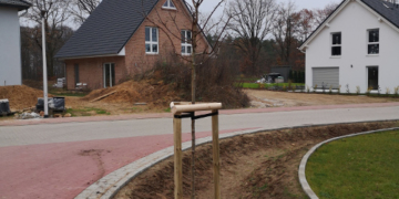 ‚Büchen macht grün‘: Start der diesjährigen Baumpflanzung mit besonderen Highlights