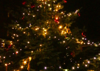 Weihnachtsbaum in Kastorf