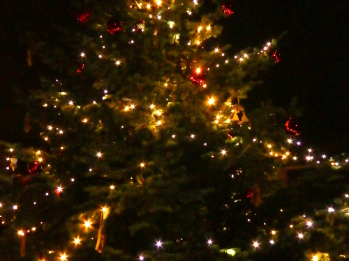 Weihnachtsbaum in Kastorf