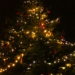 Weihnachtsbaum in Kastorf