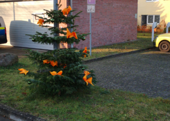 Vandalismusschäden an geschmückten Tannenbäumen