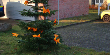 Vandalismusschäden an geschmückten Tannenbäumen