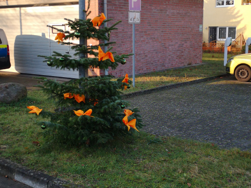 Vandalismusschäden an geschmückten Tannenbäumen