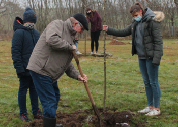 Bäume pflanzen mit der Gemeinschaftsschule Sandesneben