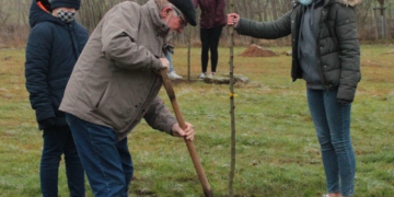 Bäume pflanzen mit der Gemeinschaftsschule Sandesneben