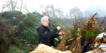 Pflanzenlieferung für die diesjährige Herbstpflanzaktion in der Stadt Ratzeburg