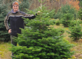 Verkauf von Weihnachtsbäumen mit Ökosiegel in romantischem Ambiente