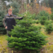 Verkauf von Weihnachtsbäumen mit Ökosiegel in romantischem Ambiente