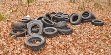 Müllentsorgung im Wald – Zeugen gesucht