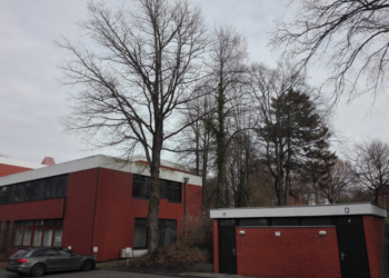 Notwendige Baumfällungen für den Umbau und die Erweiterung der Ruderakademie Ratzeburg