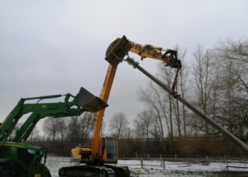 Ein neues Zuhause für Meister Adebar in Büchen-Dorf