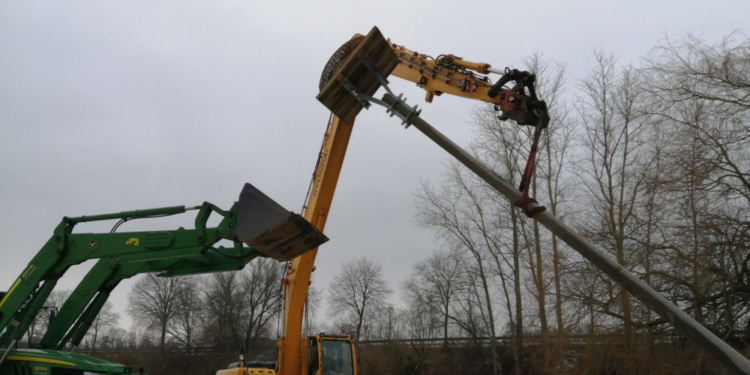 Ein neues Zuhause für Meister Adebar in Büchen-Dorf