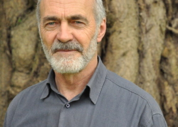 Wie kann die Anpassung der Wälder an den Klimawandel gelingen?