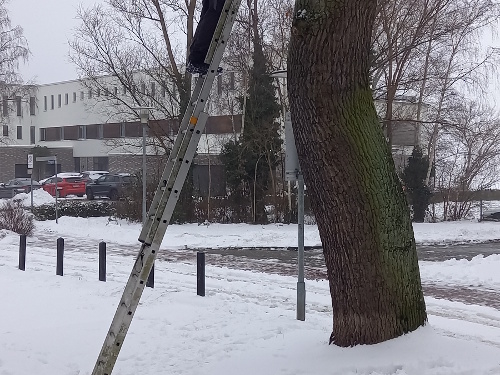 Installation von Vogelnisthilfen im Rahmen des Projektes ‚Umbau und Erweiterung der Ruderakademie Ratzeburg‘