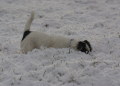 Wintereinsätze in der Region