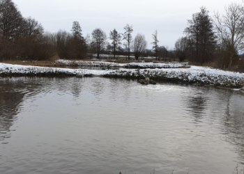 Gemeinde Sierksrade beschäftigt sich weiter mit Thema Abwasser