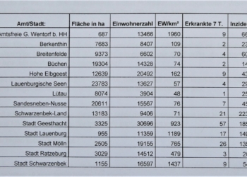 Corona: FDP zur Sieben-Tage-Inzidenz im Herzogtum