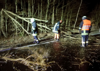 Sturm ‚Klaus‘ beschäftigte Freiwillige Feuerwehr Kittlitz