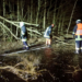 Sturm ‚Klaus‘ beschäftigte Freiwillige Feuerwehr Kittlitz