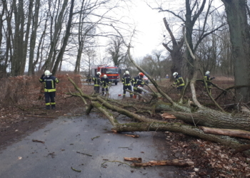 Heftiger Sturm löste am Donnerstag Feuerwehr-Einsätze aus