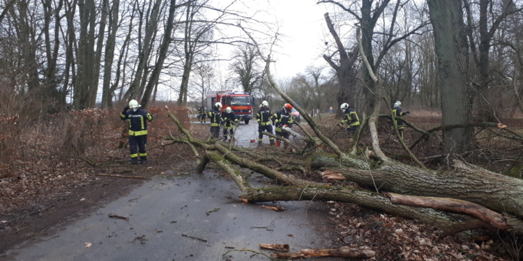 Heftiger Sturm löste am Donnerstag Feuerwehr-Einsätze aus