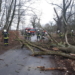 Heftiger Sturm löste am Donnerstag Feuerwehr-Einsätze aus