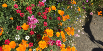 LandFrauen bringen die Region zum Blühen.