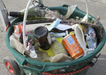 Leserbrief: 8 Kilometer – 2,5 Stunden – 7,5 kg Müll