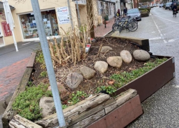 CDU moniert Zustand der Pflanzkästen im ‚Parksack‘