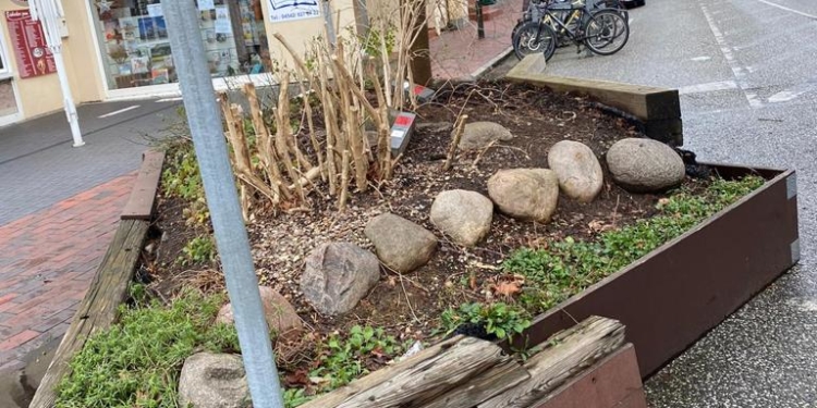 CDU moniert Zustand der Pflanzkästen im ‚Parksack‘