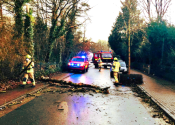 Feuerwehr Mölln: 17 Einsätze im März 2021