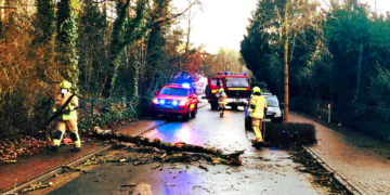 Feuerwehr Mölln: 17 Einsätze im März 2021