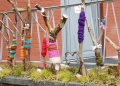 Hasen-Parade im Robert-Koch-Park